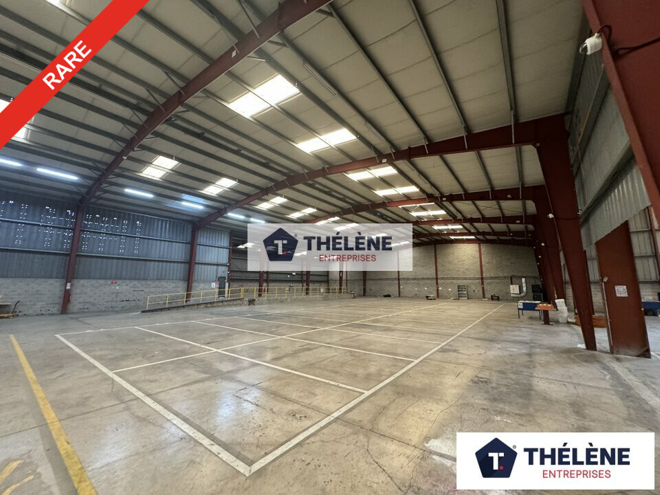 THELENE LOCATION-LOCAL D'ACTIVITE-BAILLARGUES-34
