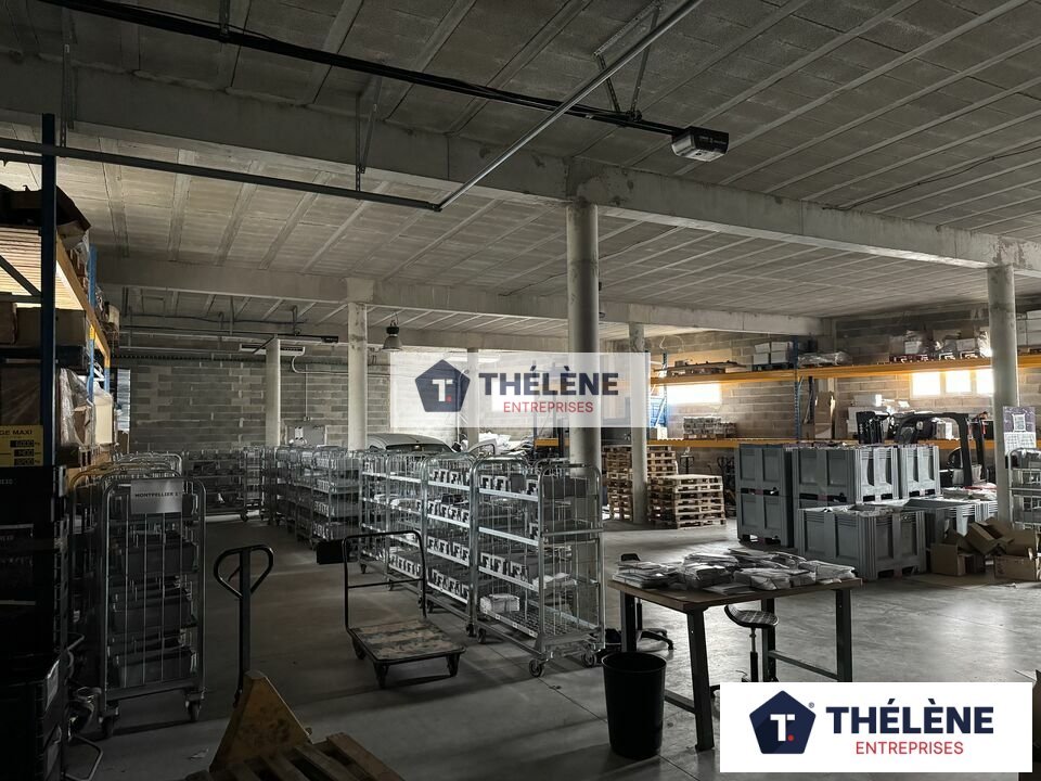 THELENE LOCATION-LOCAL D'ACTIVITE-MUDAISON-34