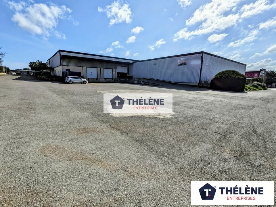 THELENE LOCATION-LOCAL D'ACTIVITE-VILLENEUVE_LES_MAGUELONE-34