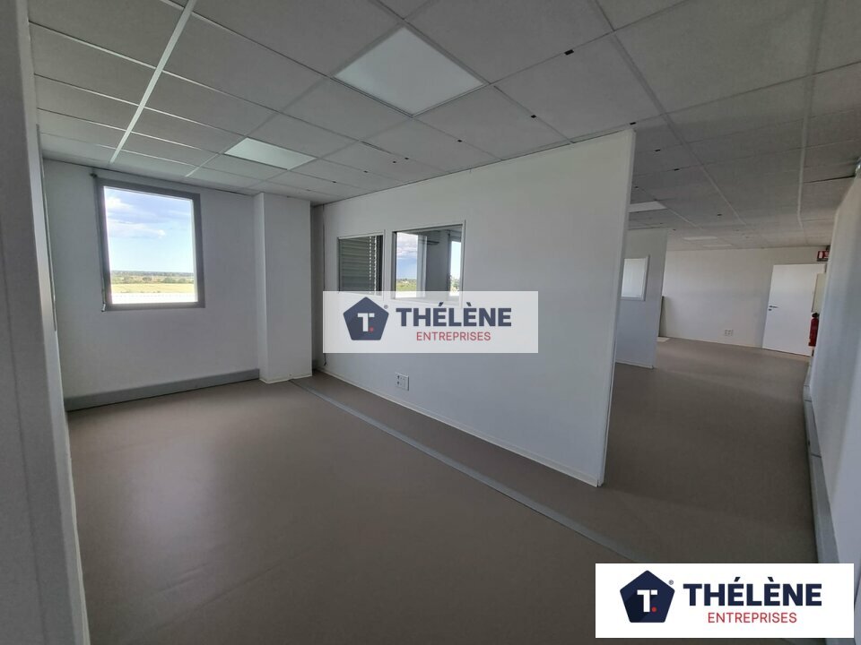 THELENE LOCATION-BUREAUX-SAINT_AUNES-34