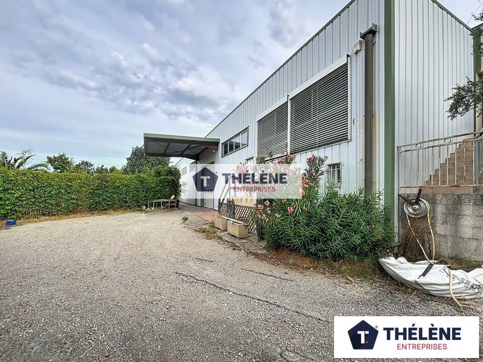 THELENE VENTE-LOCAL D'ACTIVITE-TEYRAN-34
