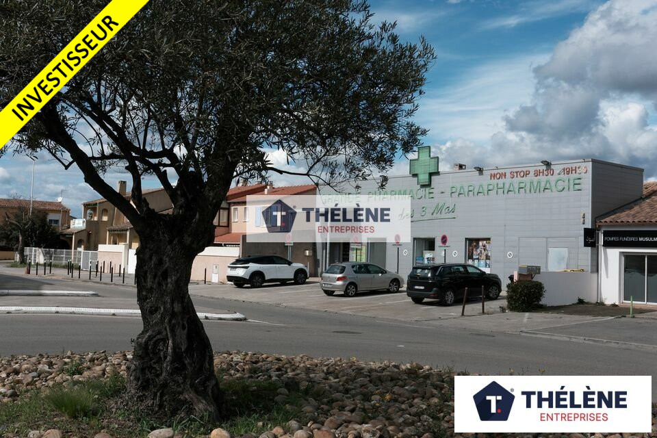 THELENE VENTE-LOCAL COMMERCIAL-NIMES-30