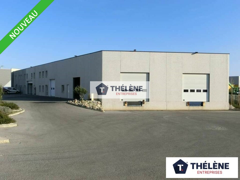 THELENE LOCATION-LOCAL D'ACTIVITE-SAINT_JEAN_DE_VEDAS-34