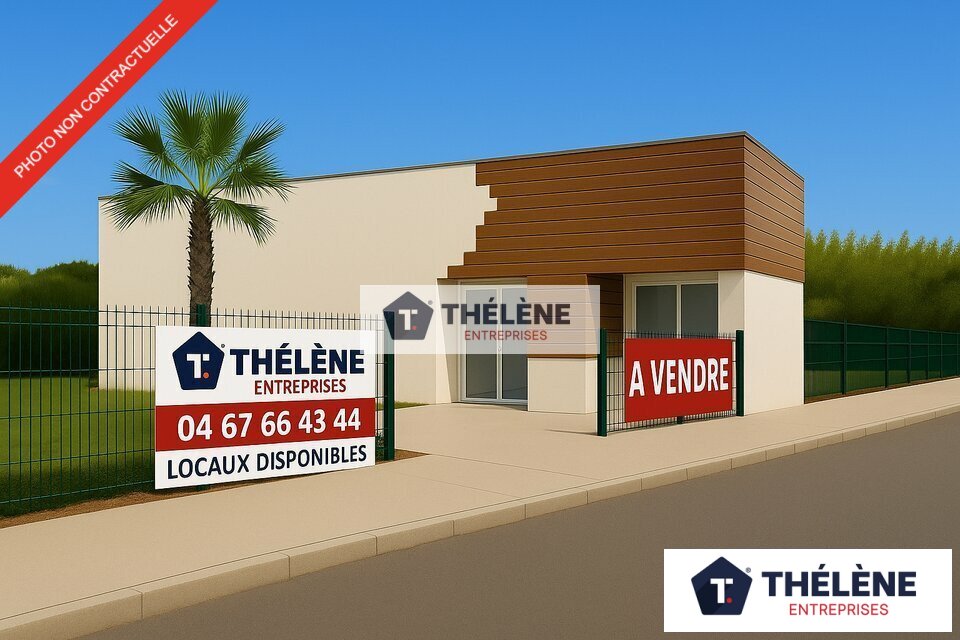 THELENE VENTE-LOCAL D'ACTIVITE-CLERMONT-L'HERAULT-34