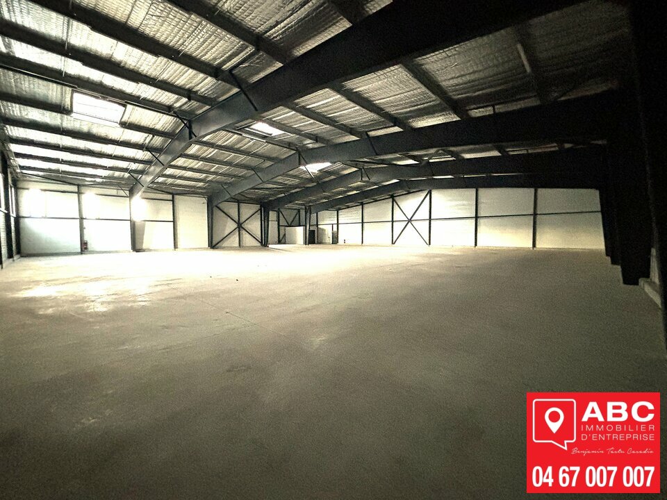 ABC IE LOCATION-LOCAL D'ACTIVITE-PERPIGNAN-66