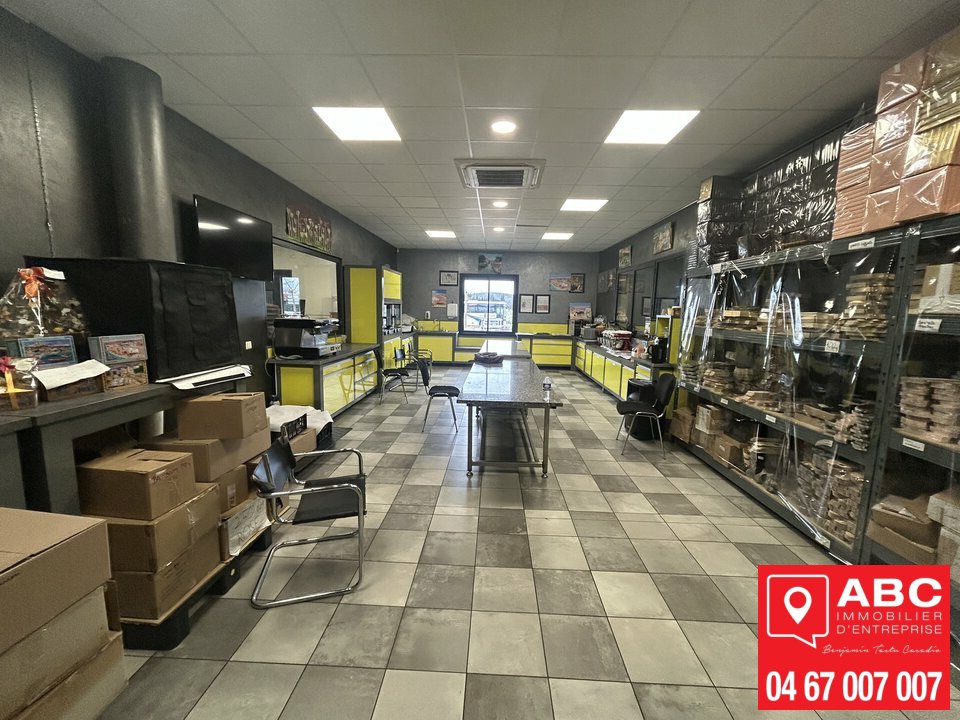 ABC IE VENTE-LOCAL D'ACTIVITE-MONTREDON_DES_CORBIERES-11