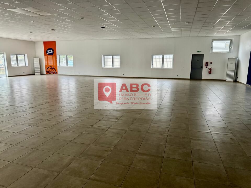 ABC IE VENTE-LOCAL D'ACTIVITE-NARBONNE-11