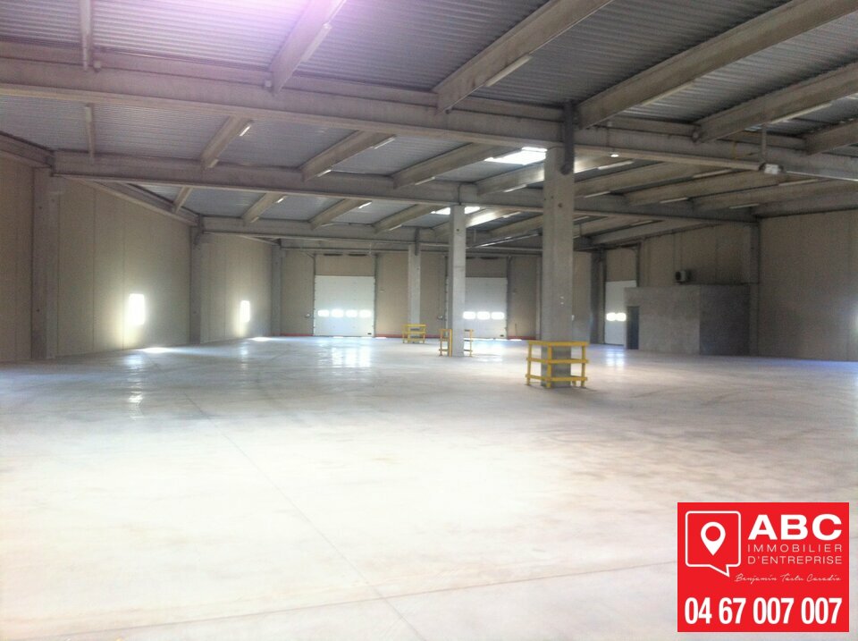 ABC IE LOCATION-LOCAL D'ACTIVITE-SAINT_JEAN_DE_VEDAS-34