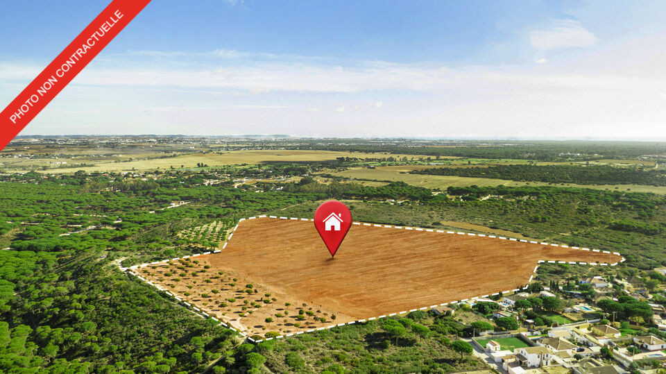 ABC IE VENTE-LOCAL D'ACTIVITE-PERPIGNAN-66