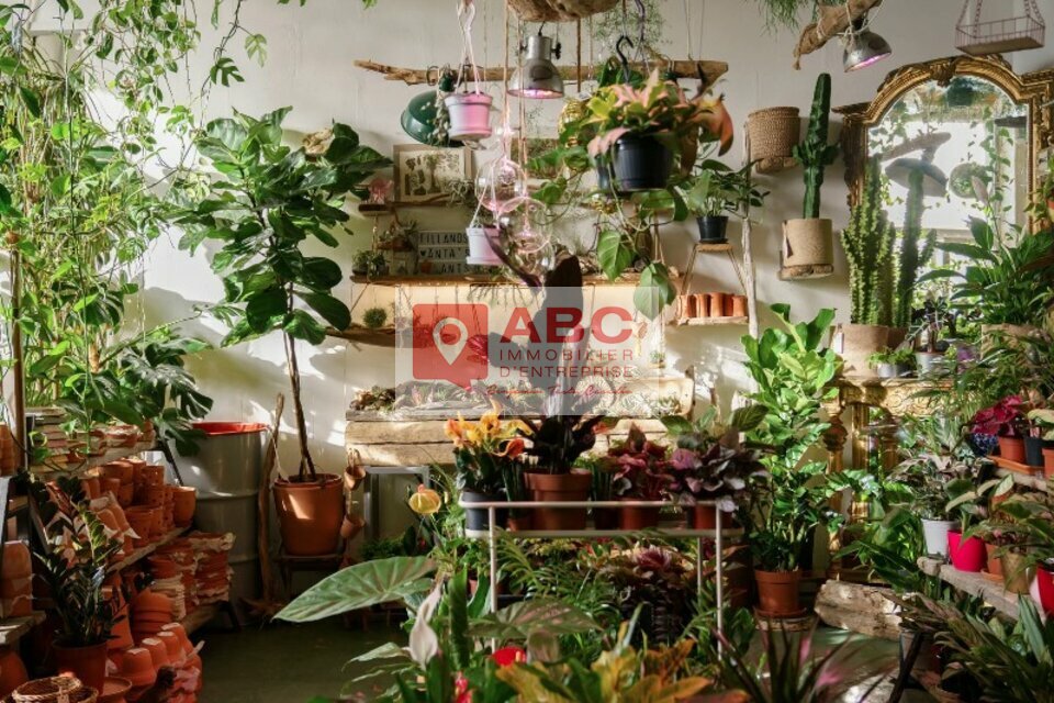 ABC IE LOCATION-LOCAL COMMERCIAL-ARGELES_SUR_MER-66