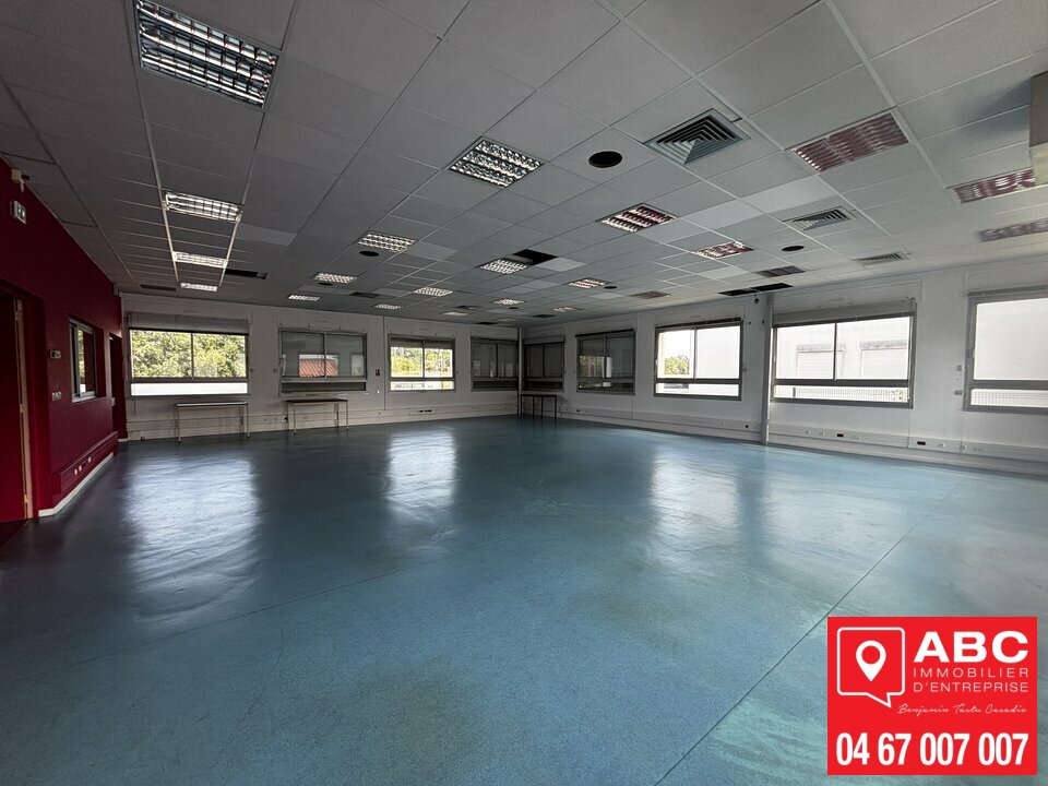 ABC IE LOCATION-BUREAUX-PERPIGNAN-66