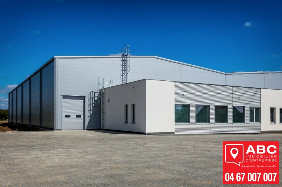 ABC IE LOCATION-LOCAL D'ACTIVITE-NARBONNE-11