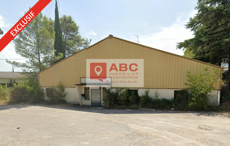 ABC IE VENTE-LOCAL D'ACTIVITE-SAINT_MATHIEU_DE_TREVIERS-34