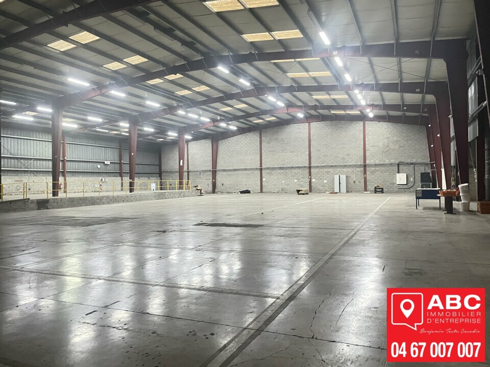 ABC IE LOCATION-LOCAL D'ACTIVITE-BAILLARGUES-34