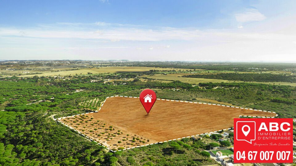 ABC IE LOCATION-TERRAIN-MONTREDON_DES_CORBIERES-11
