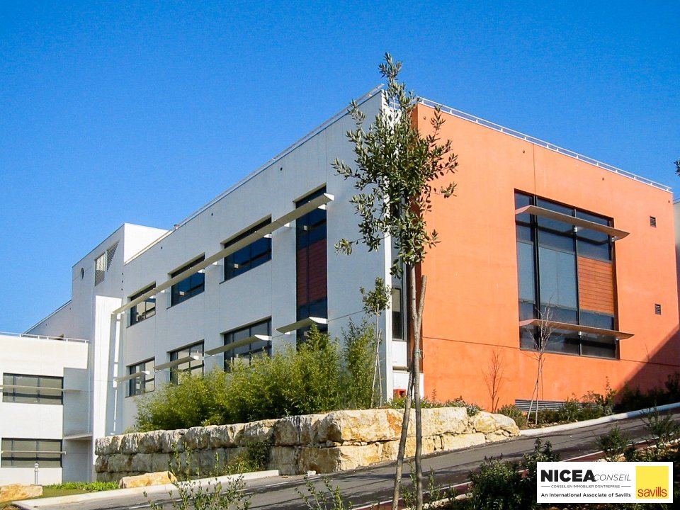 SAVILLS NICEA CONSEIL LOCATION-BUREAUX-BIOT-06