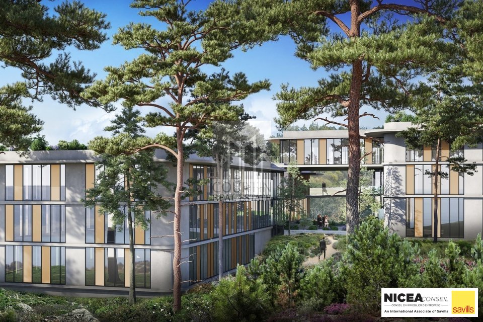 SAVILLS NICEA CONSEIL LOCATION-BUREAUX-SOPHIA_ANTIPOLIS-06
