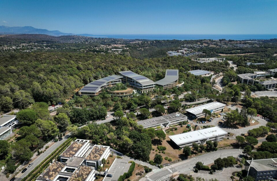 SAVILLS NICEA CONSEIL LOCATION-BUREAUX-BIOT-06