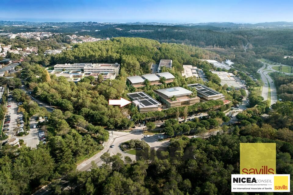 SAVILLS NICEA CONSEIL LOCATION-BUREAUX-SOPHIA_ANTIPOLIS-06