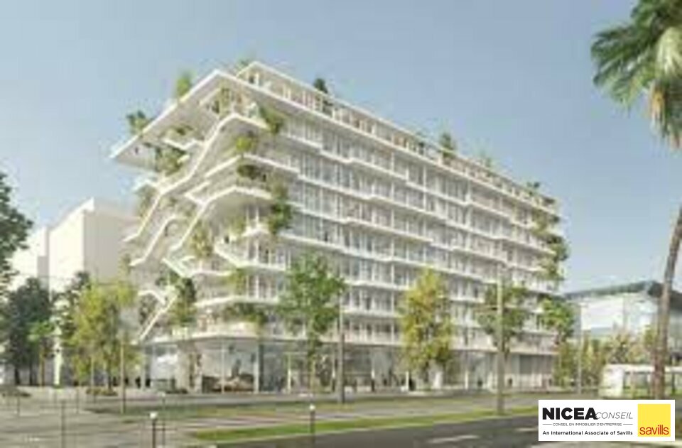 SAVILLS NICEA CONSEIL LOCATION-BUREAUX-NICE-06