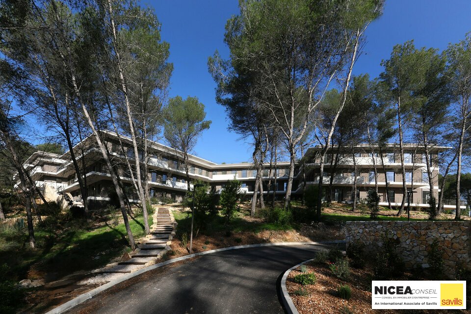SAVILLS NICEA CONSEIL LOCATION-BUREAUX-VALBONNE-06