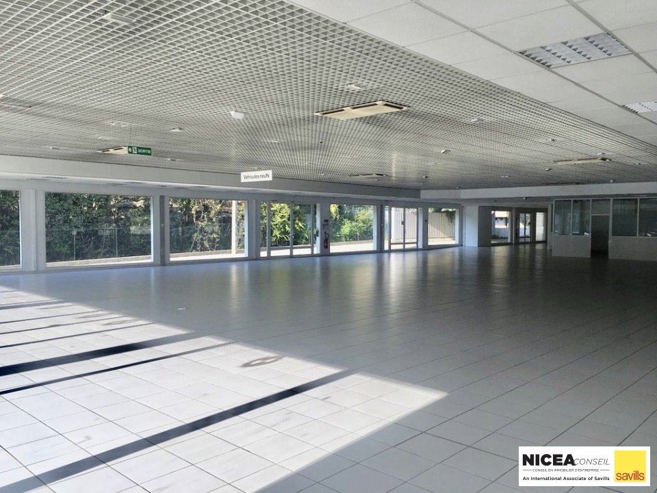 SAVILLS NICEA CONSEIL LOCATION-LOCAL D'ACTIVITE-MOUGINS-06