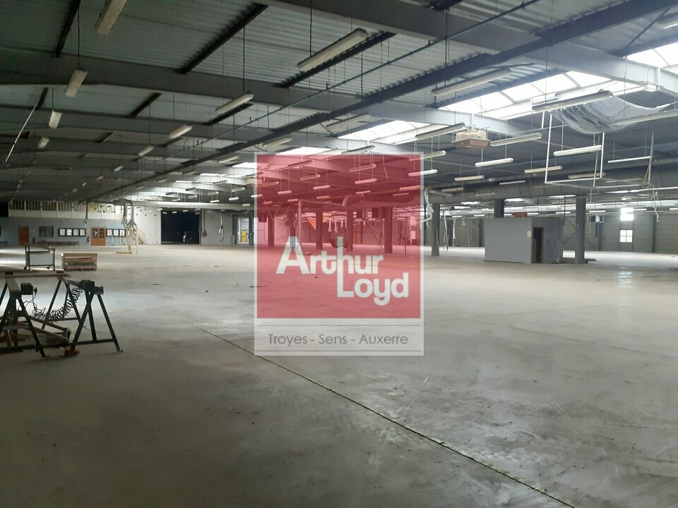 ARTHUR LOYD TROYES VENTE-LOCAL D'ACTIVITE-PINEY-10