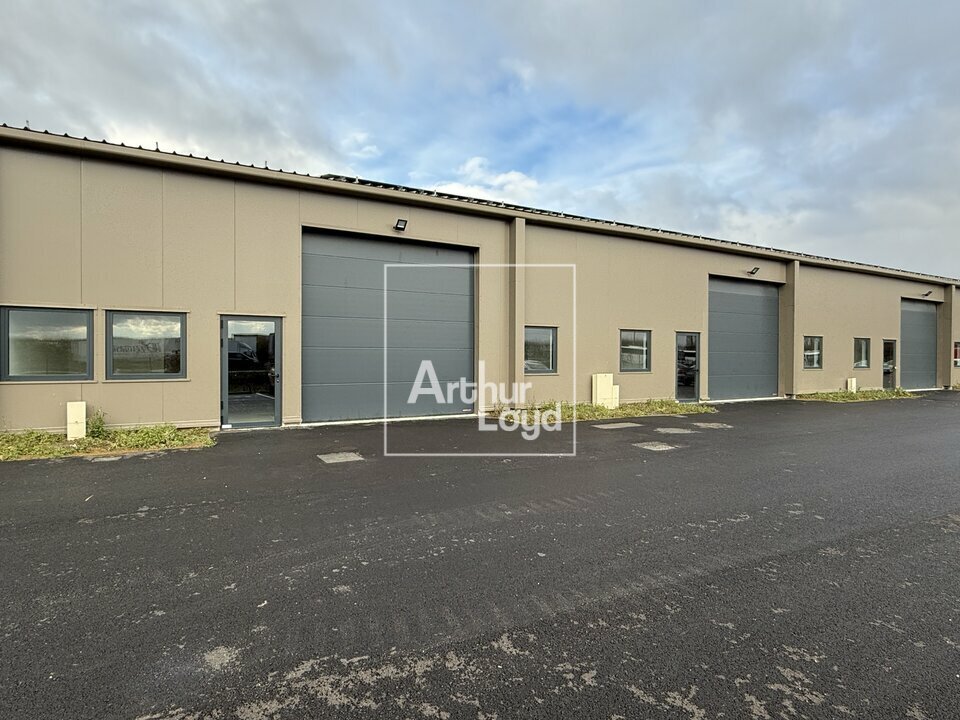 ARTHUR LOYD 77-91 LOCATION-LOCAL D'ACTIVITE-GUIGNES-77