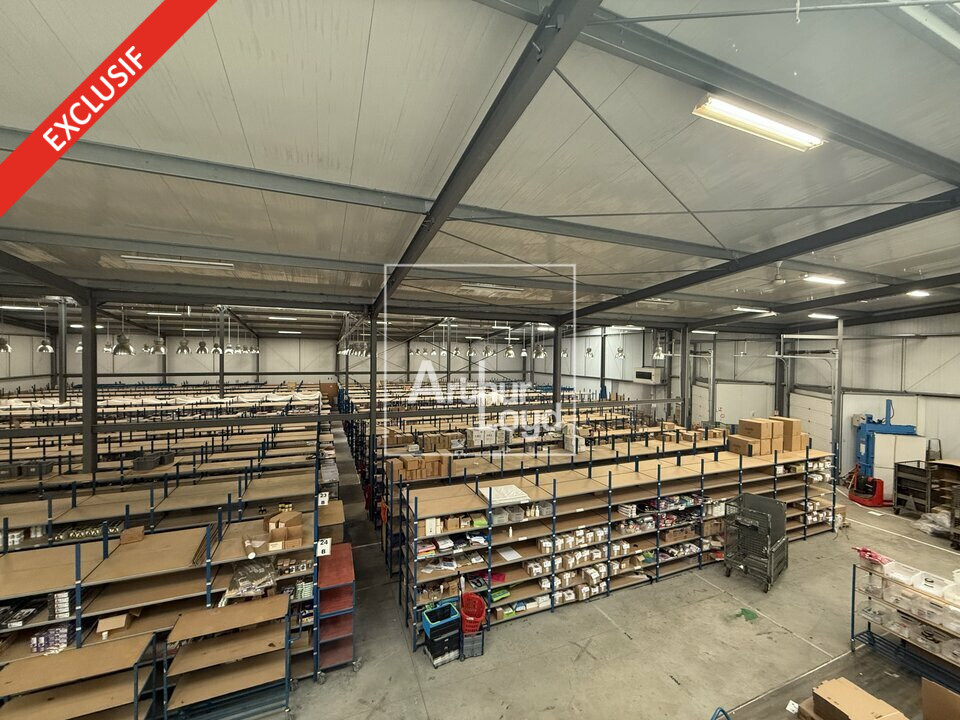 ARTHUR LOYD 77-91 LOCATION-LOCAL D'ACTIVITE-MORET_SUR_LOING-77