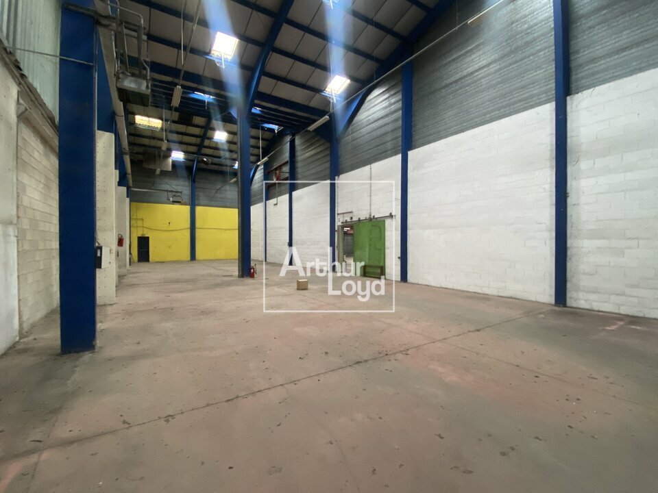 ARTHUR LOYD 77-91 LOCATION-LOCAL D'ACTIVITE-NANGIS-77