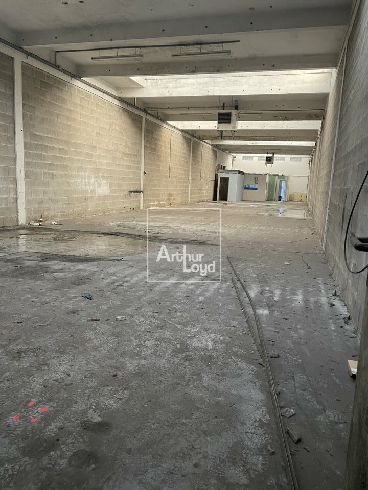 ARTHUR LOYD 77-91 VENTE-LOCAL D'ACTIVITE-SAINT_FARGEAU_PONTHIERRY-77