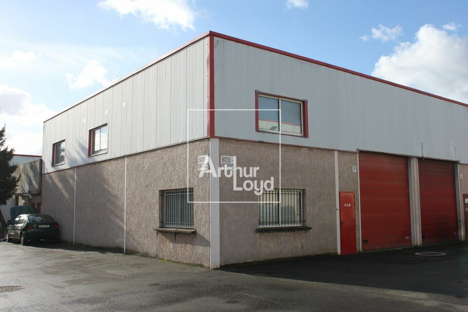ARTHUR LOYD 77-91 VENTE-LOCAL D'ACTIVITE-MORSANG_SUR_ORGE-91