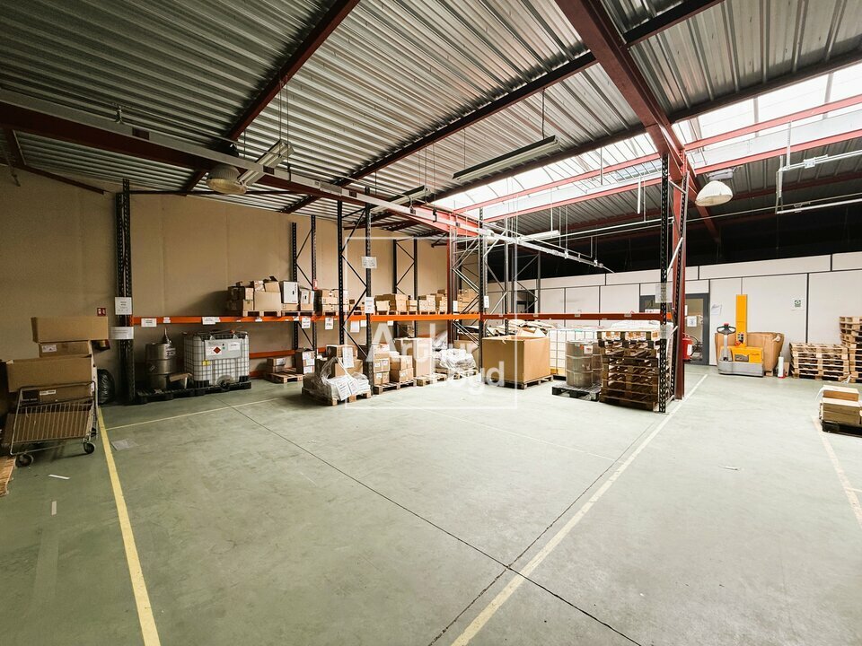 ARTHUR LOYD 77-91 LOCATION-LOCAL D'ACTIVITE-VULAINES_SUR_SEINE-77