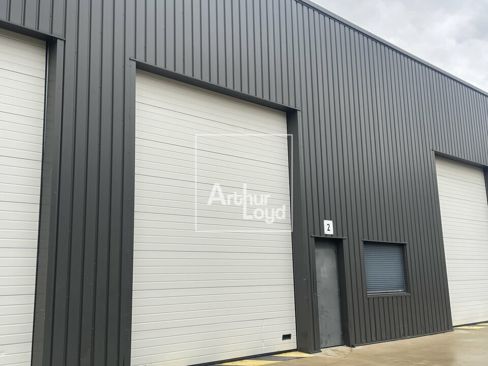 ARTHUR LOYD 77-91 LOCATION-LOCAL D'ACTIVITE-CESSON-77