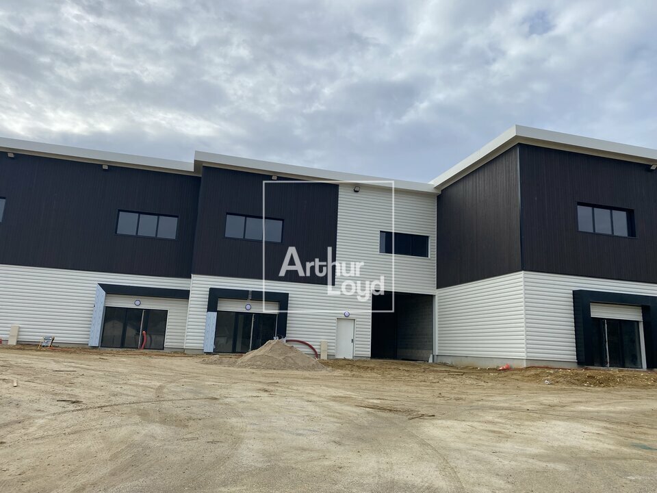 ARTHUR LOYD 77-91 VENTE-LOCAL D'ACTIVITE-OLLAINVILLE-91