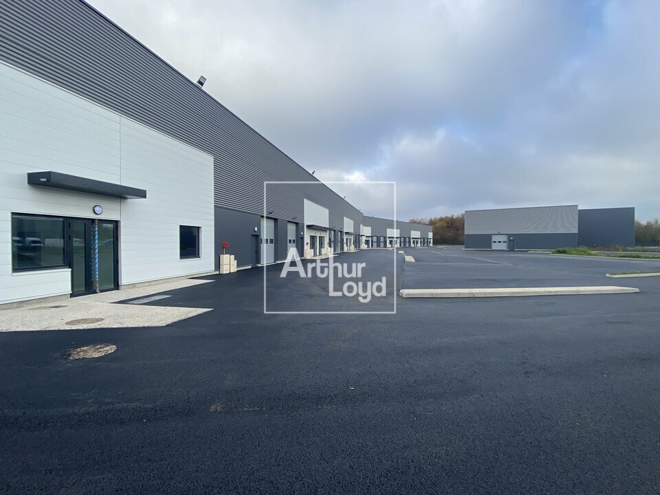 ARTHUR LOYD 77-91 LOCATION-LOCAL D'ACTIVITE-SAVIGNY_LE_TEMPLE-77