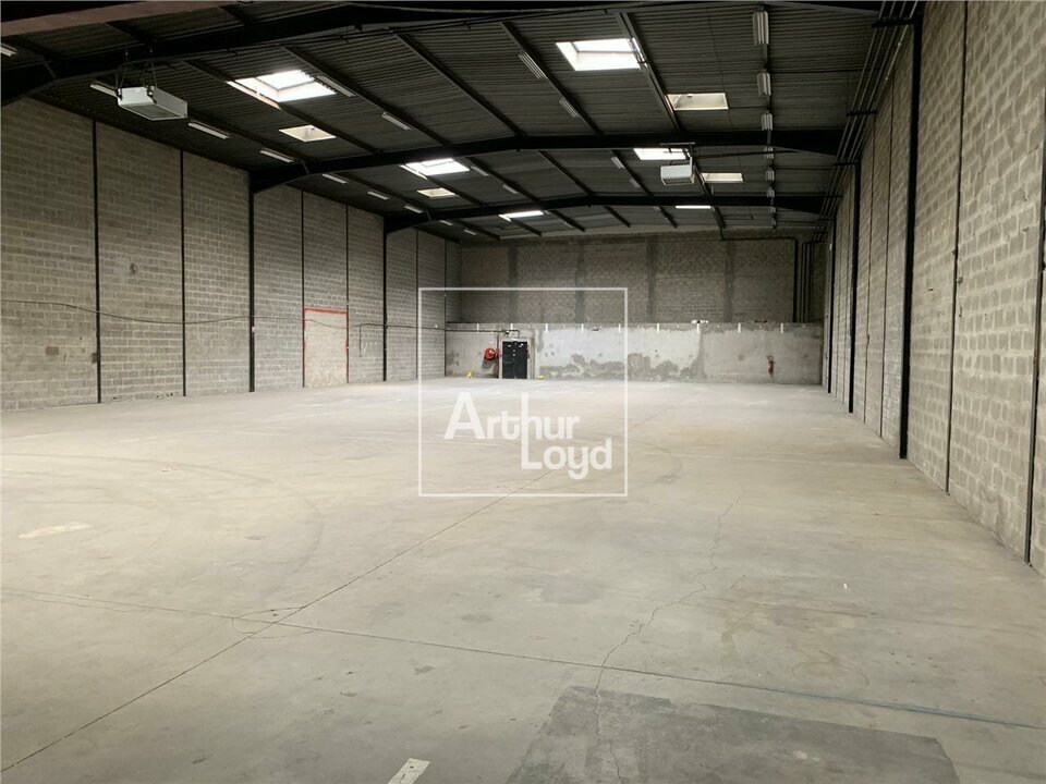 ARTHUR LOYD 77-91 LOCATION-LOCAL D'ACTIVITE-MORANGIS-91