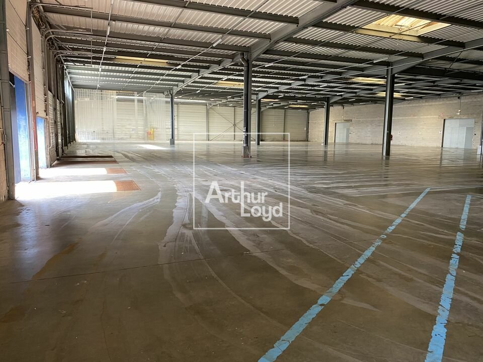 ARTHUR LOYD 77-91 LOCATION-LOCAL D'ACTIVITE-EGLY-91