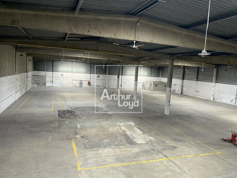 ARTHUR LOYD 77-91 LOCATION-LOCAL D'ACTIVITE-MORANGIS-91