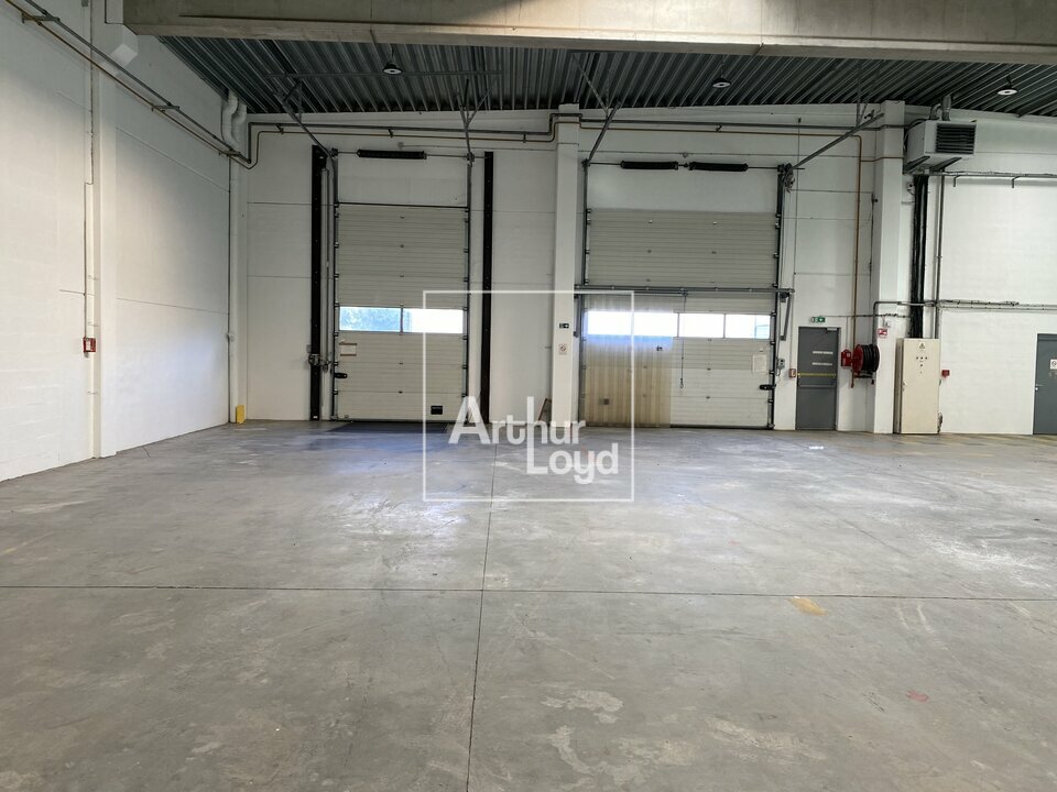 ARTHUR LOYD 77-91 LOCATION-LOCAL D'ACTIVITE-CHILLY_MAZARIN-91