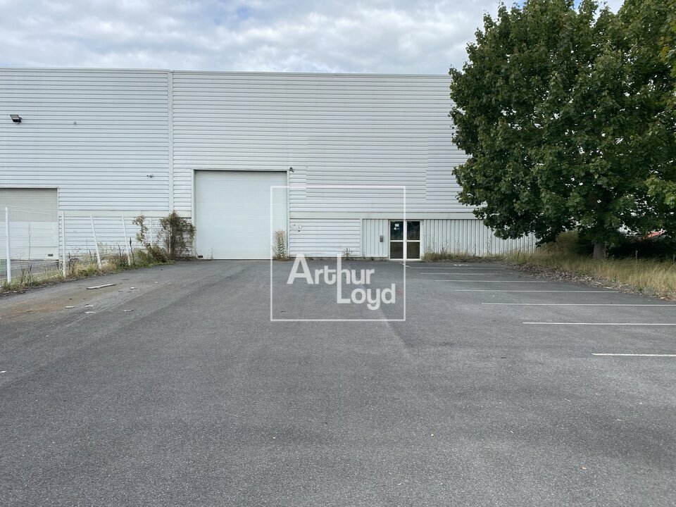 ARTHUR LOYD 77-91 LOCATION-LOCAL D'ACTIVITE-MORANGIS-91