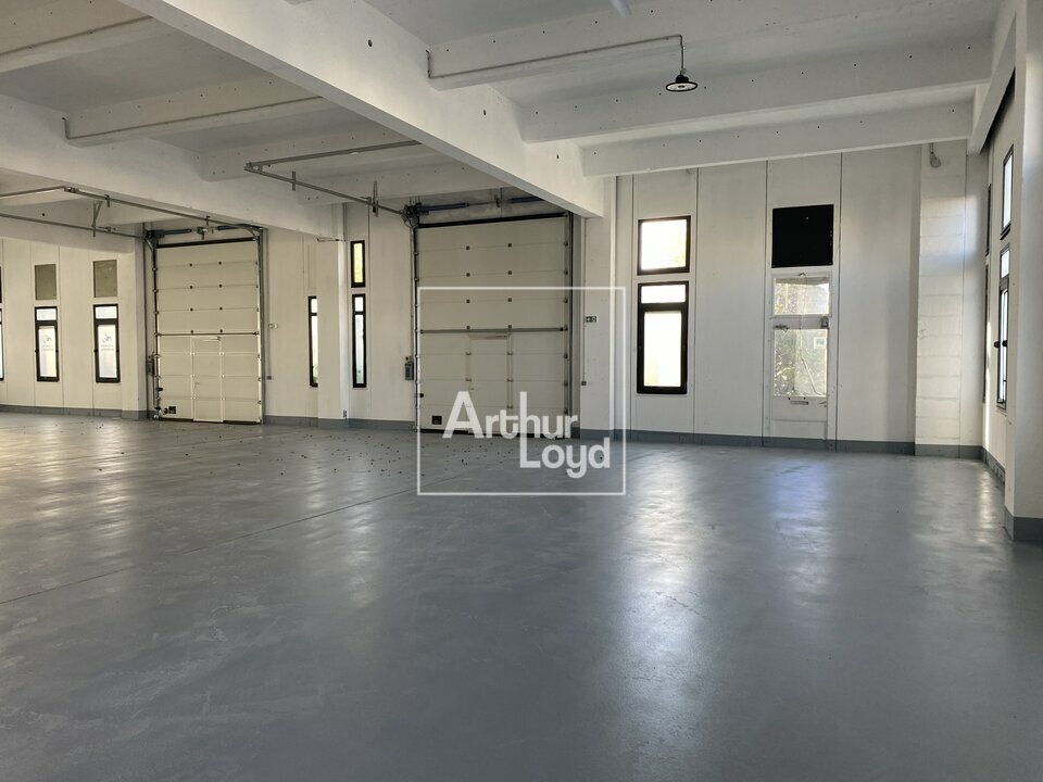 ARTHUR LOYD 77-91 LOCATION-LOCAL D'ACTIVITE-COURCOURONNES-91