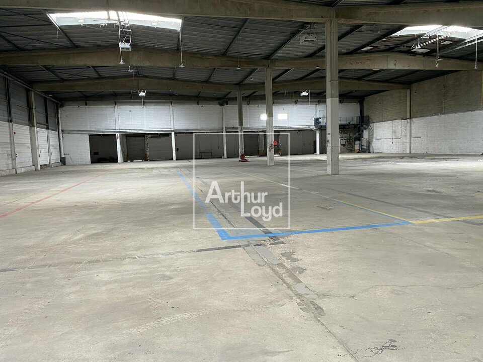 ARTHUR LOYD 77-91 LOCATION-LOCAL D'ACTIVITE-MORANGIS-91