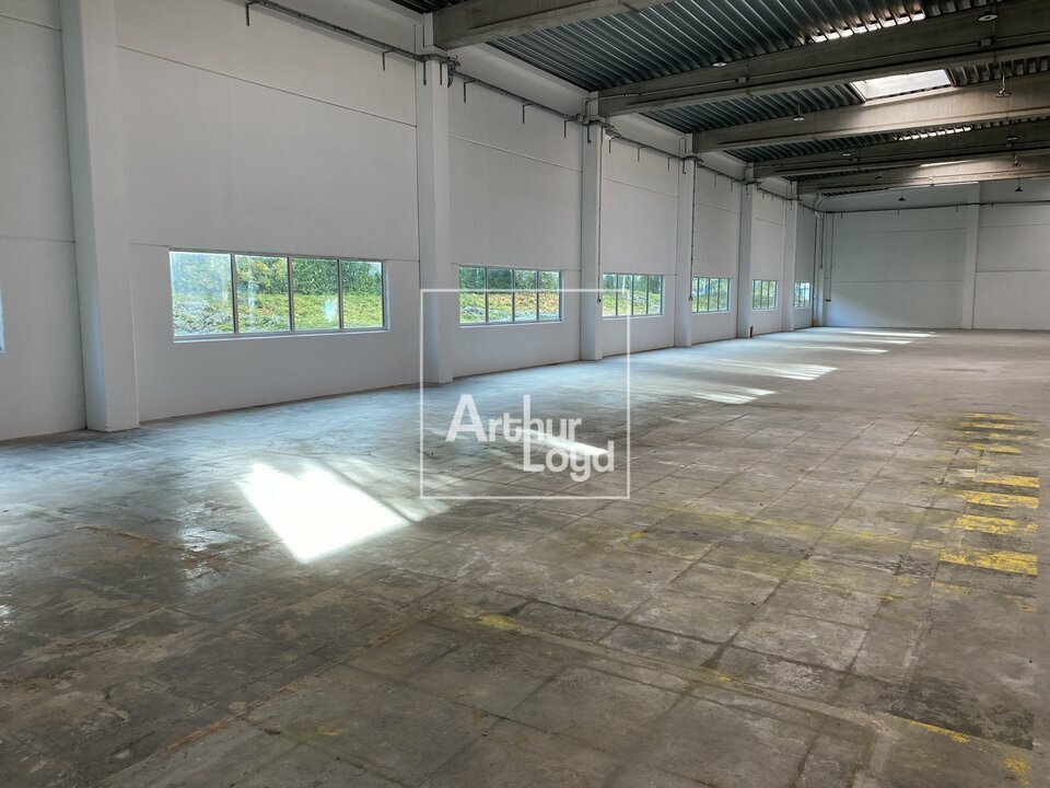 ARTHUR LOYD 77-91 LOCATION-LOCAL D'ACTIVITE-CHILLY_MAZARIN-91