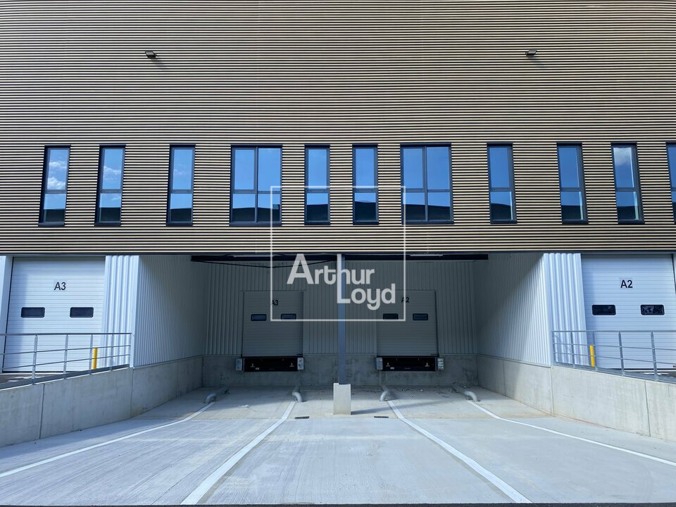 ARTHUR LOYD 77-91 LOCATION-LOCAL D'ACTIVITE-WISSOUS-91