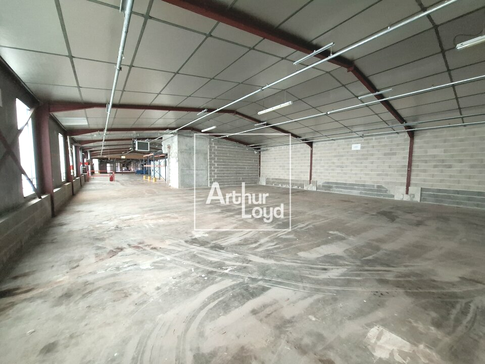 ARTHUR LOYD 77-91 VENTE-LOCAL D'ACTIVITE-GOUAIX-77
