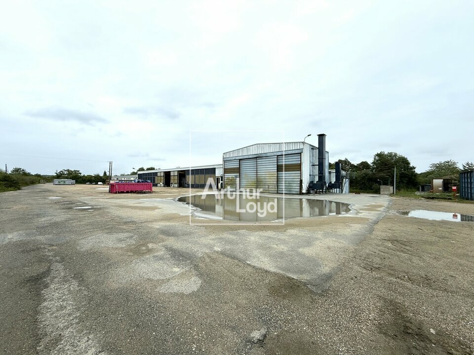 ARTHUR LOYD 77-91 VENTE-LOCAL D'ACTIVITE-LE_MALESHERBOIS-45