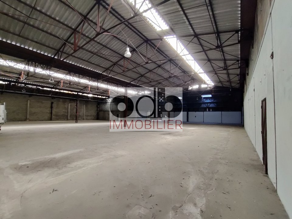 ODB IMMOBILIER LOCATION-ENTREPOT-LA_TRINITE-06