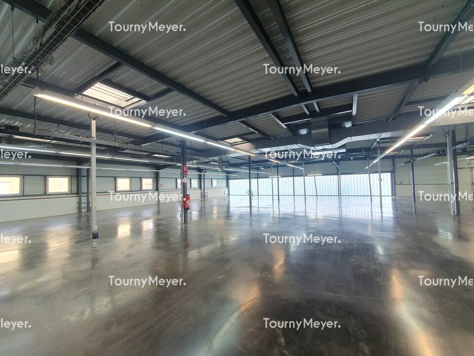 TOURNY MEYER BORDEAUX LOCATION-LOCAL D'ACTIVITE-BORDEAUX-33