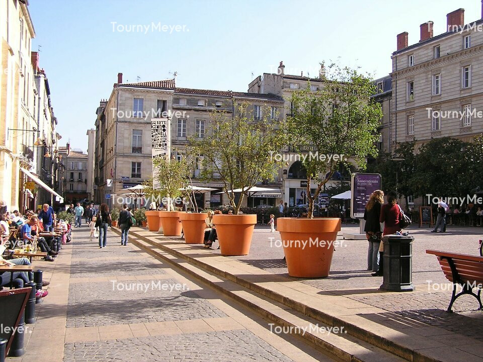 TOURNY MEYER BORDEAUX VENTE-FONDS DE COMMERCE-BORDEAUX-33